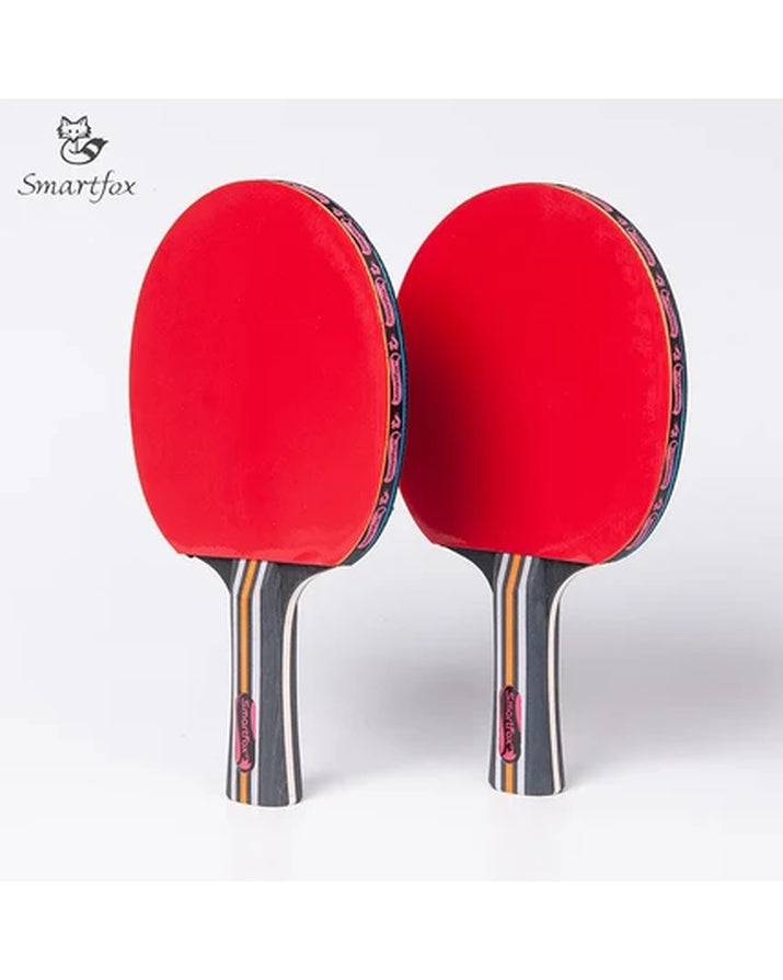 Professional Durable Table Tennis Racket Set Two Rackets Three Balls